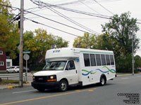 Société de transport de Trois-Rivieres - STTR 1171 - 2017 Ford / Girardin - Transport adapté